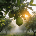 Load image into Gallery viewer, Bright — Bergamot Grove
